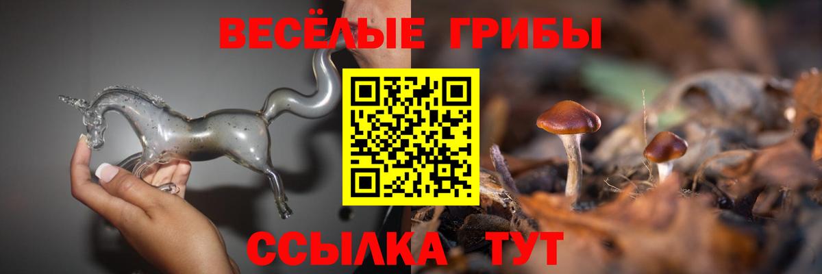 Галлюциногенные грибы Cubensis  Вход с VPN  Кызыл 